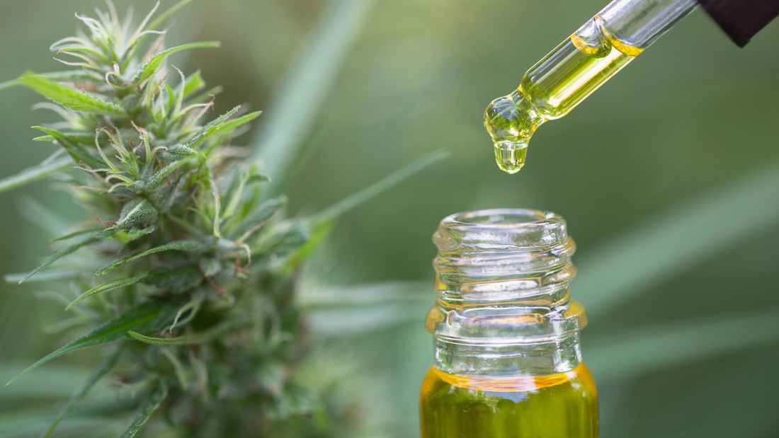 What is Non-novel cold pressed CBD Oil and how is this different to Novel CBD Oil?